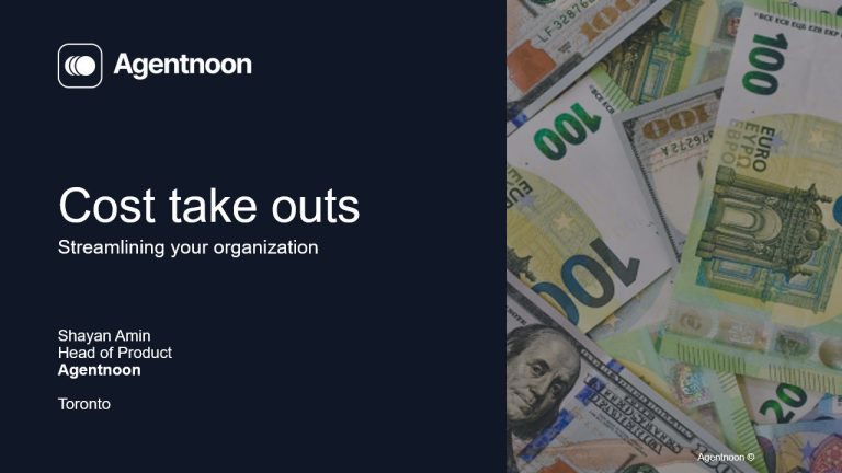 Cost takeout Solution brief Agentnoon
