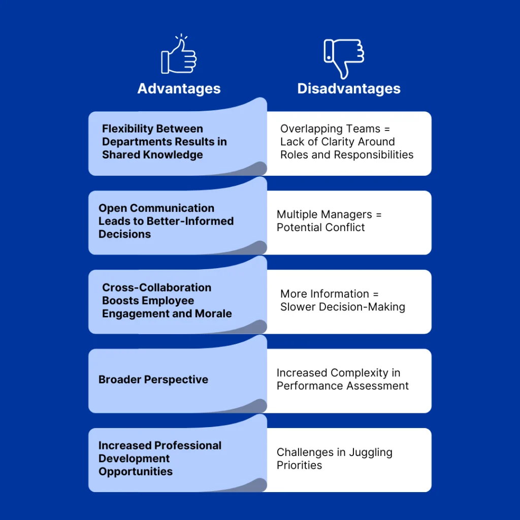 5 Advantages of a Matrix Organizational Structure