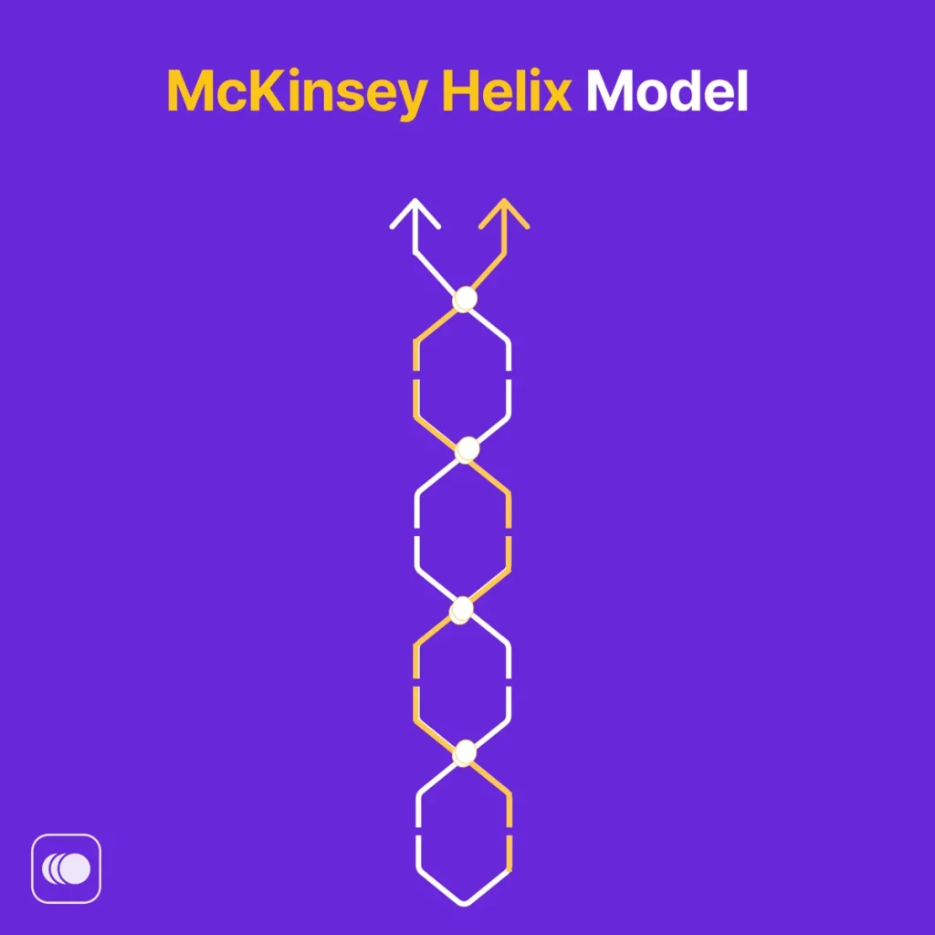 McKinsey Helix Model