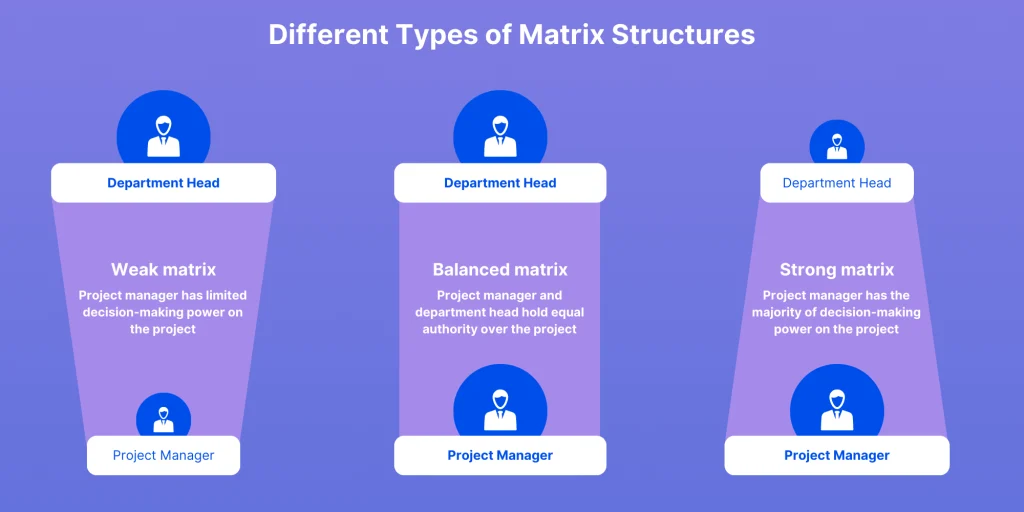 Types of Matrix Organizational Structures