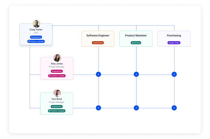 Advantages and Disadvantages of A Matrix Organizational Structure Advantages and Disadvantages of A Matrix Organizational Structure